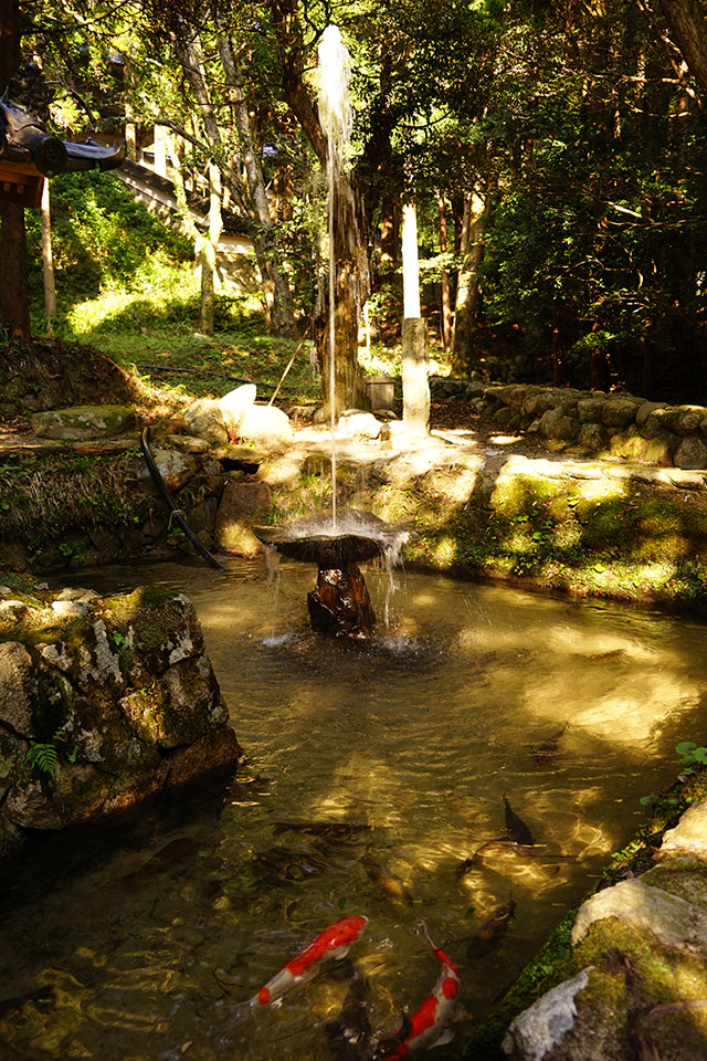 永光寺の池